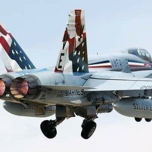 Meet your Posher, Teddy